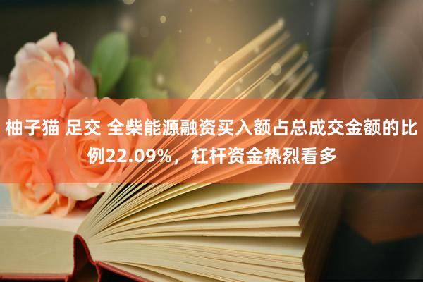 柚子猫 足交 全柴能源融资买入额占总成交金额的比例22.09%，杠杆资金热烈看多