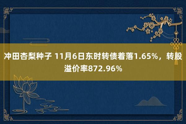 冲田杏梨种子 11月6日东时转债着落1.65%，转股溢价率872.96%