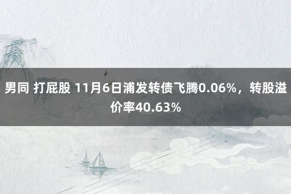 男同 打屁股 11月6日浦发转债飞腾0.06%，转股溢价率40.63%