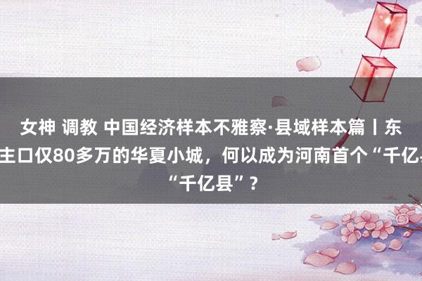 女神 调教 中国经济样本不雅察·县域样本篇丨东说念主口仅80多万的华夏小城，何以成为河南首个“千亿县”？