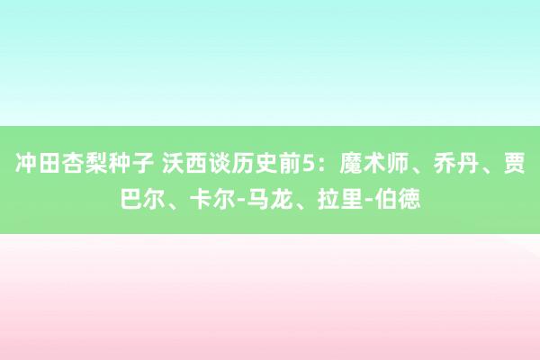 冲田杏梨种子 沃西谈历史前5：魔术师、乔丹、贾巴尔、卡尔-马龙、拉里-伯徳