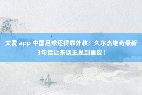 文爱 app 中国足球还得靠外教：久尔杰维奇最新3句话让东谈主思到里皮！