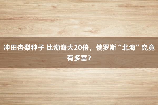 冲田杏梨种子 比渤海大20倍，俄罗斯“北海”究竟有多富？