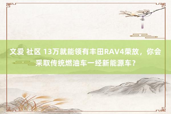 文爱 社区 13万就能领有丰田RAV4荣放，你会采取传统燃油车一经新能源车？