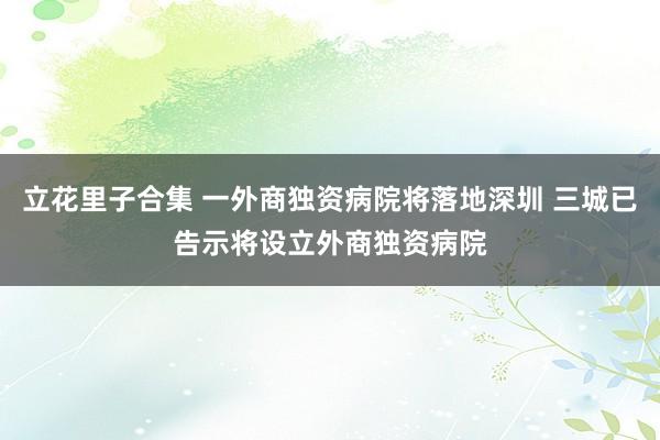 立花里子合集 一外商独资病院将落地深圳 三城已告示将设立外商独资病院