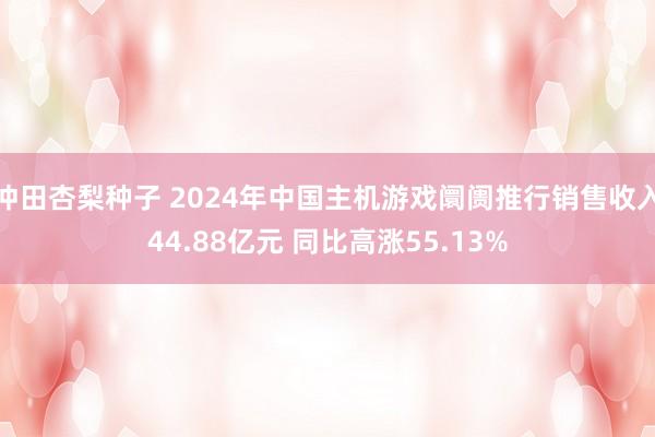 冲田杏梨种子 2024年中国主机游戏阛阓推行销售收入44.88亿元 同比高涨55.13%