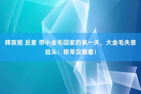 辉夜姬 反差 带小金毛回家的第一天，大金毛失意扭头：根蒂没眼看！