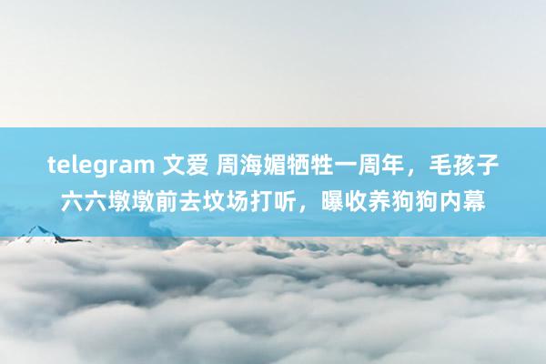 telegram 文爱 周海媚牺牲一周年，毛孩子六六墩墩前去坟场打听，曝收养狗狗内幕