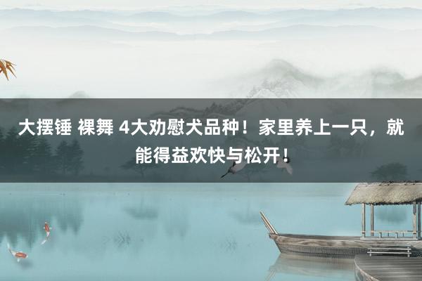 大摆锤 裸舞 4大劝慰犬品种！家里养上一只，就能得益欢快与松开！