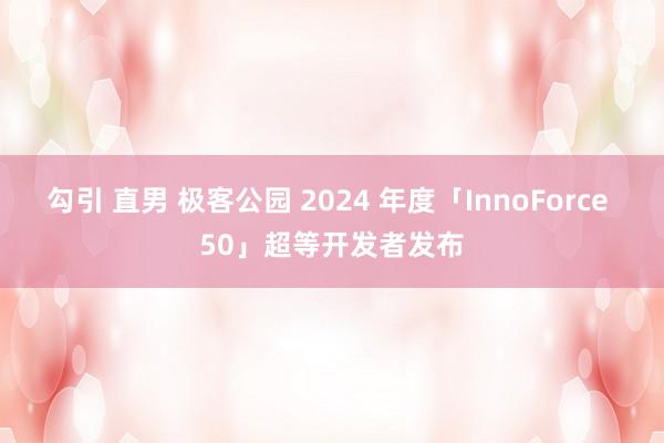 勾引 直男 极客公园 2024 年度「InnoForce 50」超等开发者发布