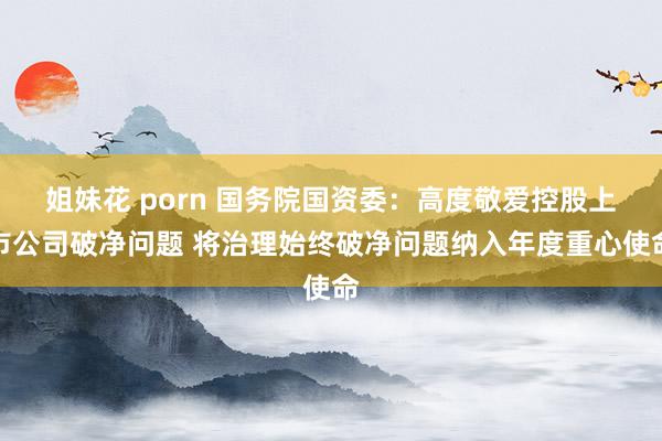 姐妹花 porn 国务院国资委：高度敬爱控股上市公司破净问题 将治理始终破净问题纳入年度重心使命