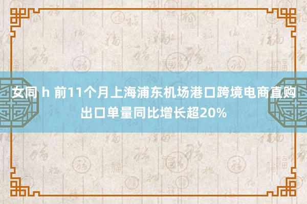 女同 h 前11个月上海浦东机场港口跨境电商直购出口单量同比增长超20%