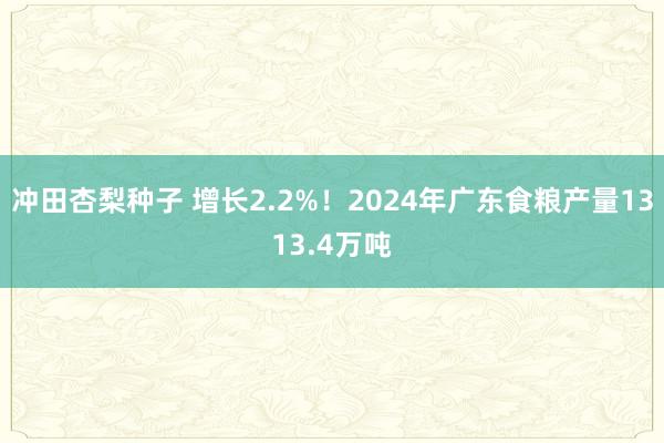 冲田杏梨种子 增长2.2%！2024年广东食粮产量1313.4万吨