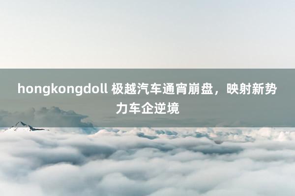 hongkongdoll 极越汽车通宵崩盘，映射新势力车企逆境