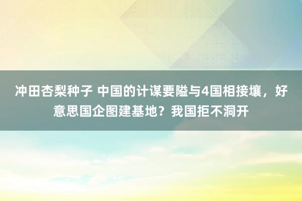 冲田杏梨种子 中国的计谋要隘与4国相接壤，好意思国企图建基地？我国拒不洞开