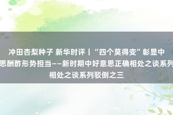 冲田杏梨种子 新华时评丨“四个莫得变”彰显中国对好意思酬酢形势担当——新时期中好意思正确相处之谈系列驳倒之三