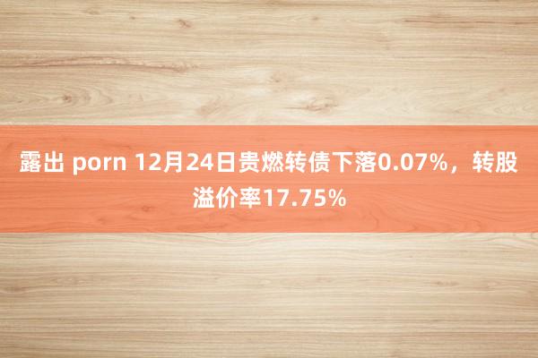 露出 porn 12月24日贵燃转债下落0.07%，转股溢价率17.75%