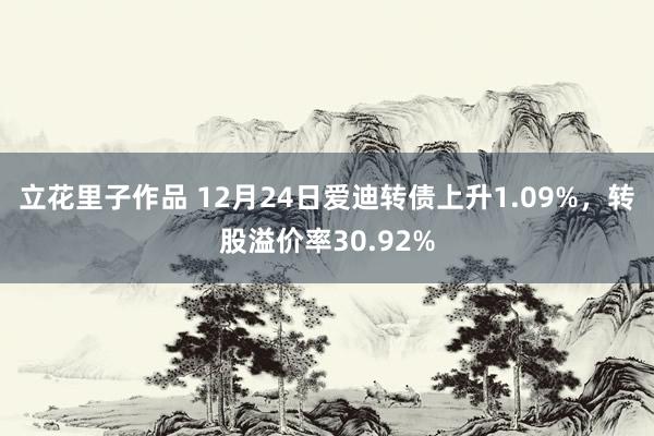 立花里子作品 12月24日爱迪转债上升1.09%，转股溢价率30.92%