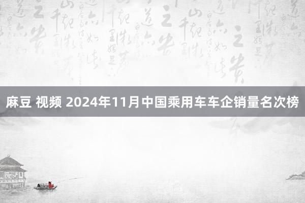 麻豆 视频 2024年11月中国乘用车车企销量名次榜