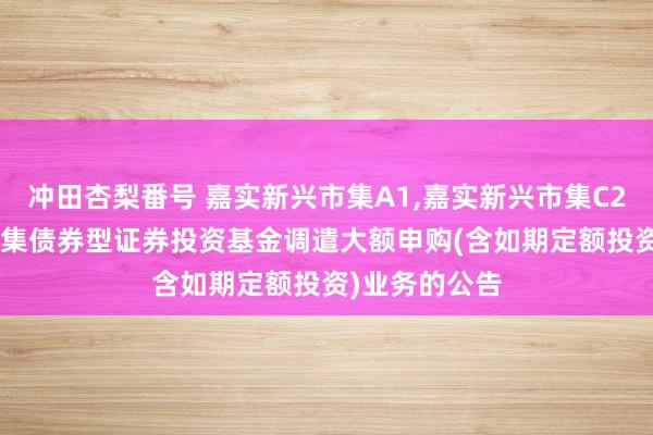 冲田杏梨番号 嘉实新兴市集A1，嘉实新兴市集C2: 嘉实新兴市集债券型证券投资基金调遣大额申购(含如期定额投资)业务的公告