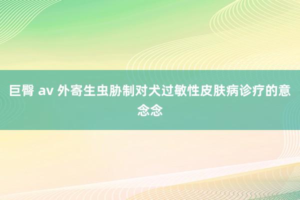 巨臀 av 外寄生虫胁制对犬过敏性皮肤病诊疗的意念念