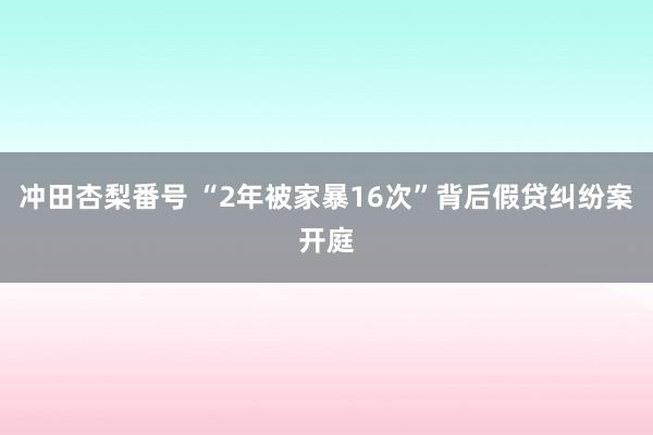 冲田杏梨番号 “2年被家暴16次”背后假贷纠纷案开庭