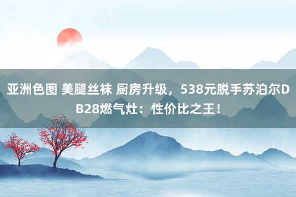 亚洲色图 美腿丝袜 厨房升级，538元脱手苏泊尔DB28燃气灶：性价比之王！