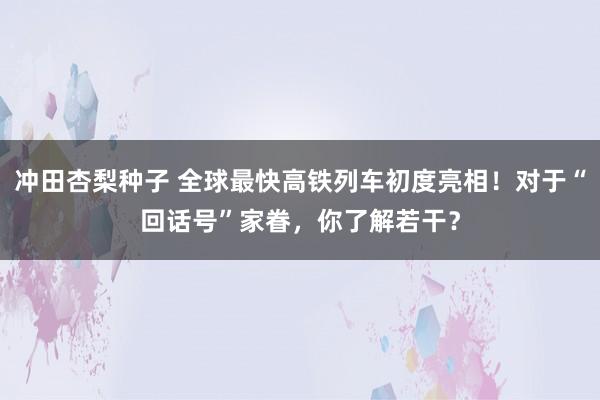 冲田杏梨种子 全球最快高铁列车初度亮相！对于“回话号”家眷，你了解若干？