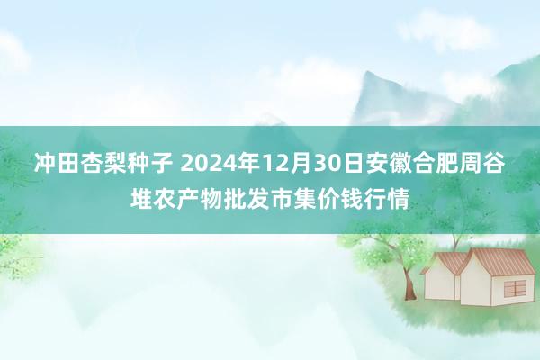 冲田杏梨种子 2024年12月30日安徽合肥周谷堆农产物批发市集价钱行情