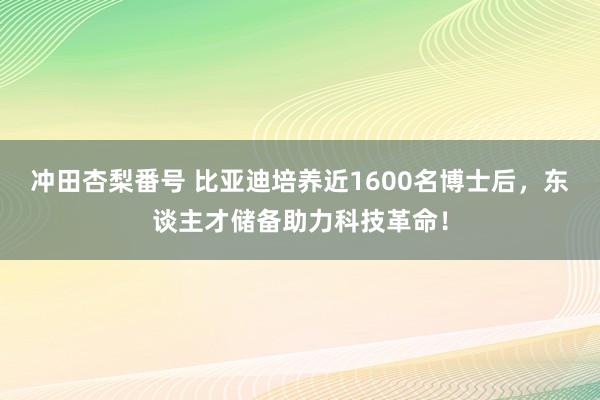 冲田杏梨番号 比亚迪培养近1600名博士后，东谈主才储备助力科技革命！