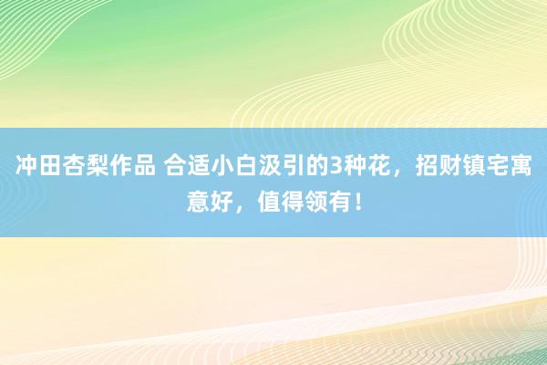 冲田杏梨作品 合适小白汲引的3种花，招财镇宅寓意好，值得领有！