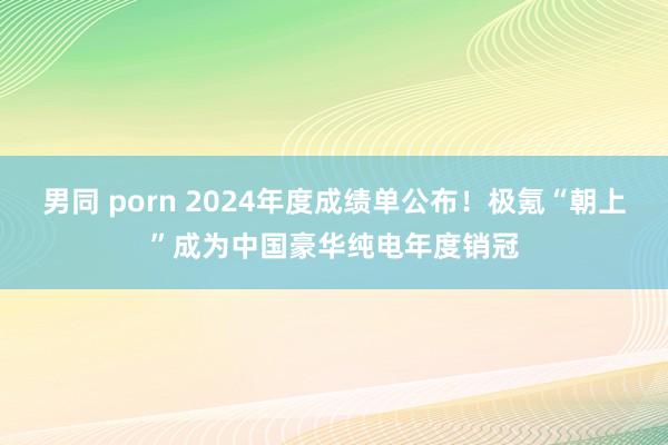 男同 porn 2024年度成绩单公布！极氪“朝上”成为中国豪华纯电年度销冠