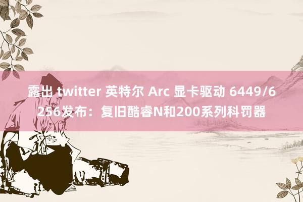 露出 twitter 英特尔 Arc 显卡驱动 6449/6256发布：复旧酷睿N和200系列科罚器