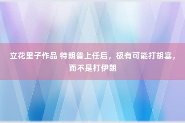 立花里子作品 特朗普上任后，极有可能打胡塞，而不是打伊朗