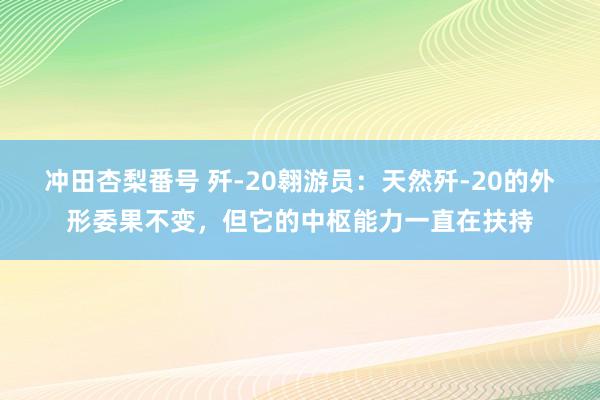 冲田杏梨番号 歼-20翱游员：天然歼-20的外形委果不变，但它的中枢能力一直在扶持