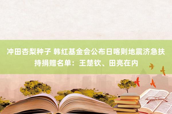 冲田杏梨种子 韩红基金会公布日喀则地震济急扶持捐赠名单：王楚钦、田亮在内