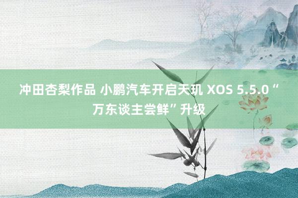 冲田杏梨作品 小鹏汽车开启天玑 XOS 5.5.0“万东谈主尝鲜”升级