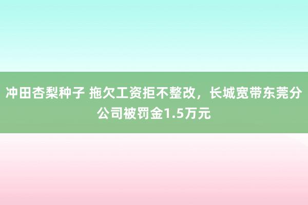 冲田杏梨种子 拖欠工资拒不整改，长城宽带东莞分公司被罚金1.5万元