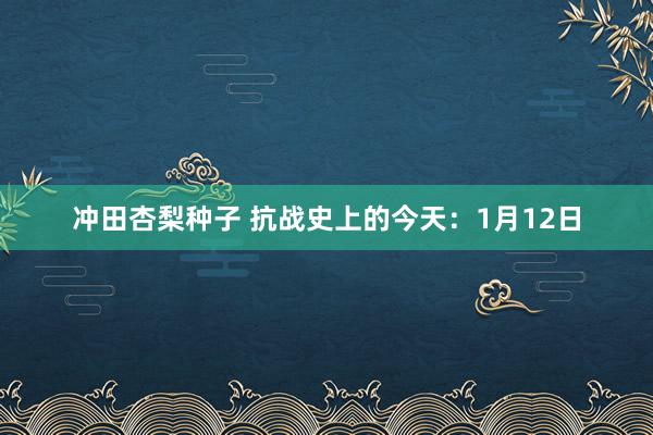 冲田杏梨种子 抗战史上的今天：1月12日