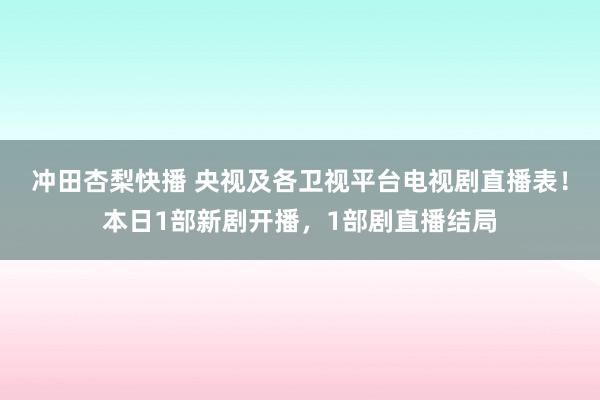 冲田杏梨快播 央视及各卫视平台电视剧直播表！本日1部新剧开播，1部剧直播结局