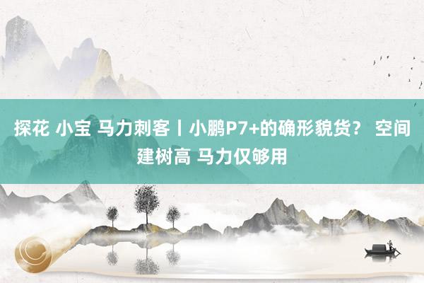 探花 小宝 马力刺客丨小鹏P7+的确形貌货？ 空间建树高 马力仅够用