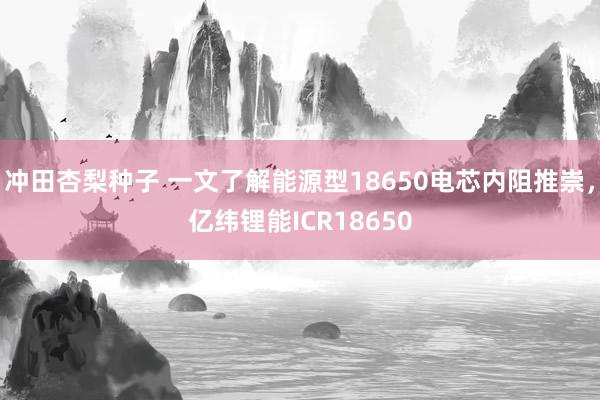 冲田杏梨种子 一文了解能源型18650电芯内阻推崇，亿纬锂能ICR18650