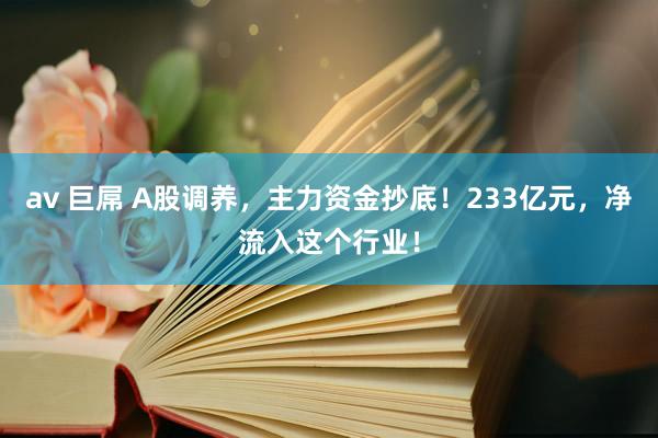 av 巨屌 A股调养，主力资金抄底！233亿元，净流入这个行业！